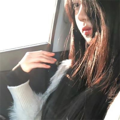 小查与寇弟的顶级冒险
